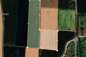 Terreno di 27000 m² a Gualtieri