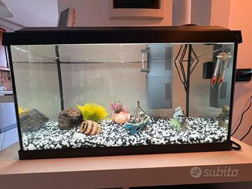 Acquario completo juwel da 60 litri