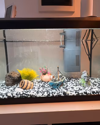 Acquario completo juwel da 60 litri