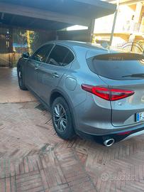 stelvio usata