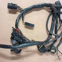 Cablaggio anteriore Ducati Multistrada 1000 DS Mts