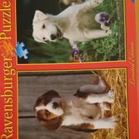 Puzzle da 300, 1000, 1500 pezzi