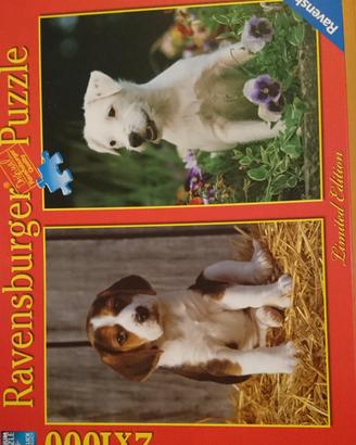 Puzzle da 300, 1000, 1500 pezzi
