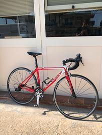 bici colnago primavera