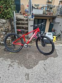 mountain bike lombardo freni idraulici