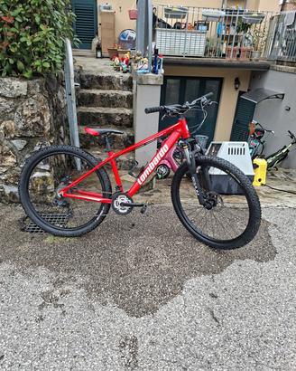 mountain bike lombardo freni idraulici