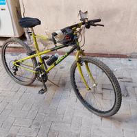 mtb bianchi thomisus ragno 