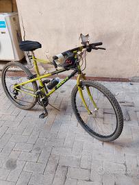 mtb bianchi thomisus ragno 