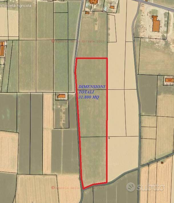 Terreno di 31800 m² a Gualtieri - Vista 3