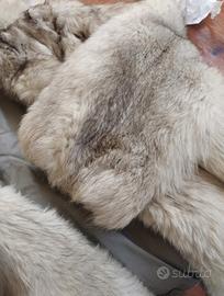pelliccia volpe bianca 