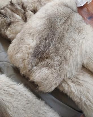 pelliccia volpe bianca 