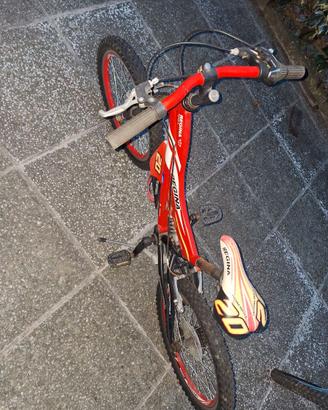 Bicicletta bimbo 6/8 anni