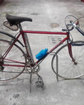 bicicletta modello Colnago vintage 