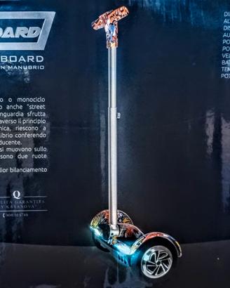 OverBoard Sky Board 