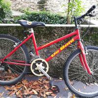 Bicicletta MTB Bambino