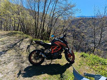 ktm duke 125 2022