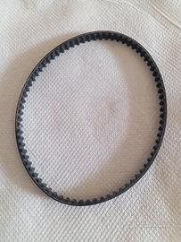 cinghia dentata Honda 