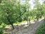Immagine 25