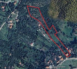 Casa su 2 piani indipendenti con terreno mq.12.960
