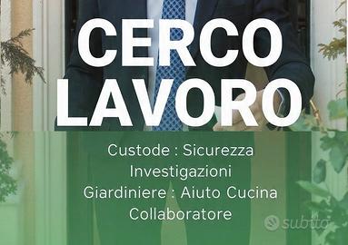 AUTISTA DI DIREZIONE SPOSTAMENTI Top Management