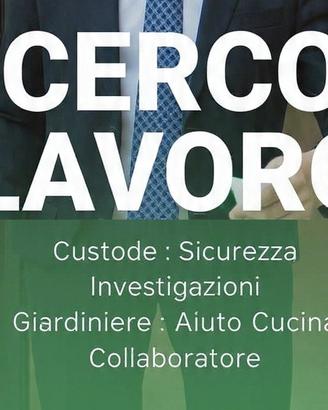 AUTISTA DI DIREZIONE SPOSTAMENTI Top Management