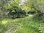 Immagine 10