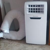 Condizionatore tipo ""pinguino" usato