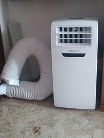 Condizionatore tipo ""pinguino" usato