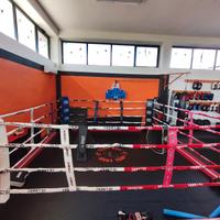 Ring pugilato, kick, muay thai 