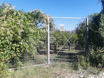 TER. AGRICOLO A NOCERA INFERIORE