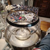 Grande Bull Dorothy C. Thorpe anni 70