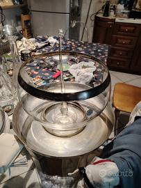 Grande Bull Dorothy C. Thorpe anni 70