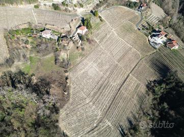 TER. AGRICOLO A CALOSSO