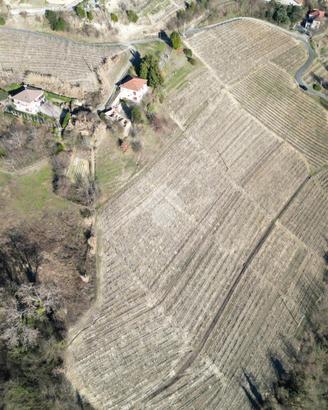 TER. AGRICOLO A CALOSSO