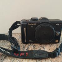 Lumix GF1 + ottica 14-45 O.I.S. 