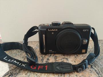 Lumix GF1 + ottica 14-45 O.I.S. 