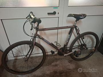 bicicletta mtb uomo 