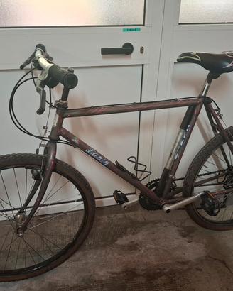 bicicletta mtb uomo 