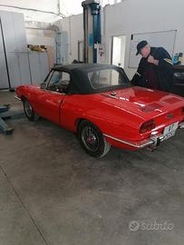 850, Bertone Spider
