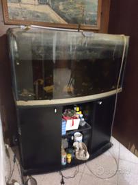 acquario 250 litri 