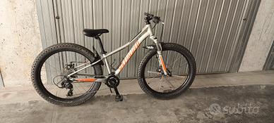 MTB specialized  24" 