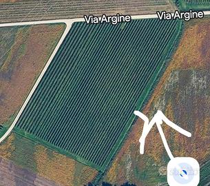 terreno e vigneto 