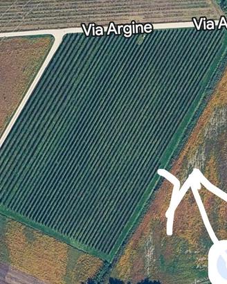 terreno e vigneto 