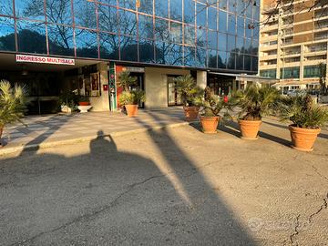 Locale commerciale fronte strada