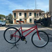 Bici Rossa da Passeggio