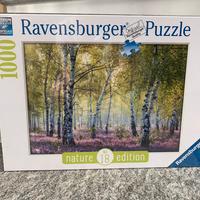 Puzzle 1000pezzi