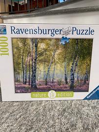 Puzzle 1000pezzi