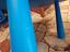 Immagine 4