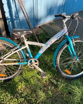 Bici 20 pollici