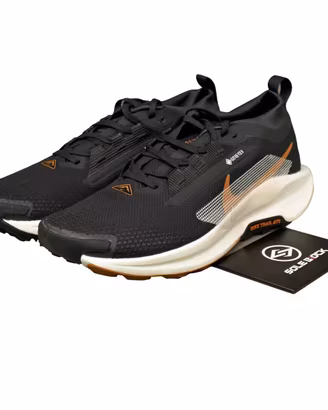 Nike performance Pegasus Trail 5 Goretex